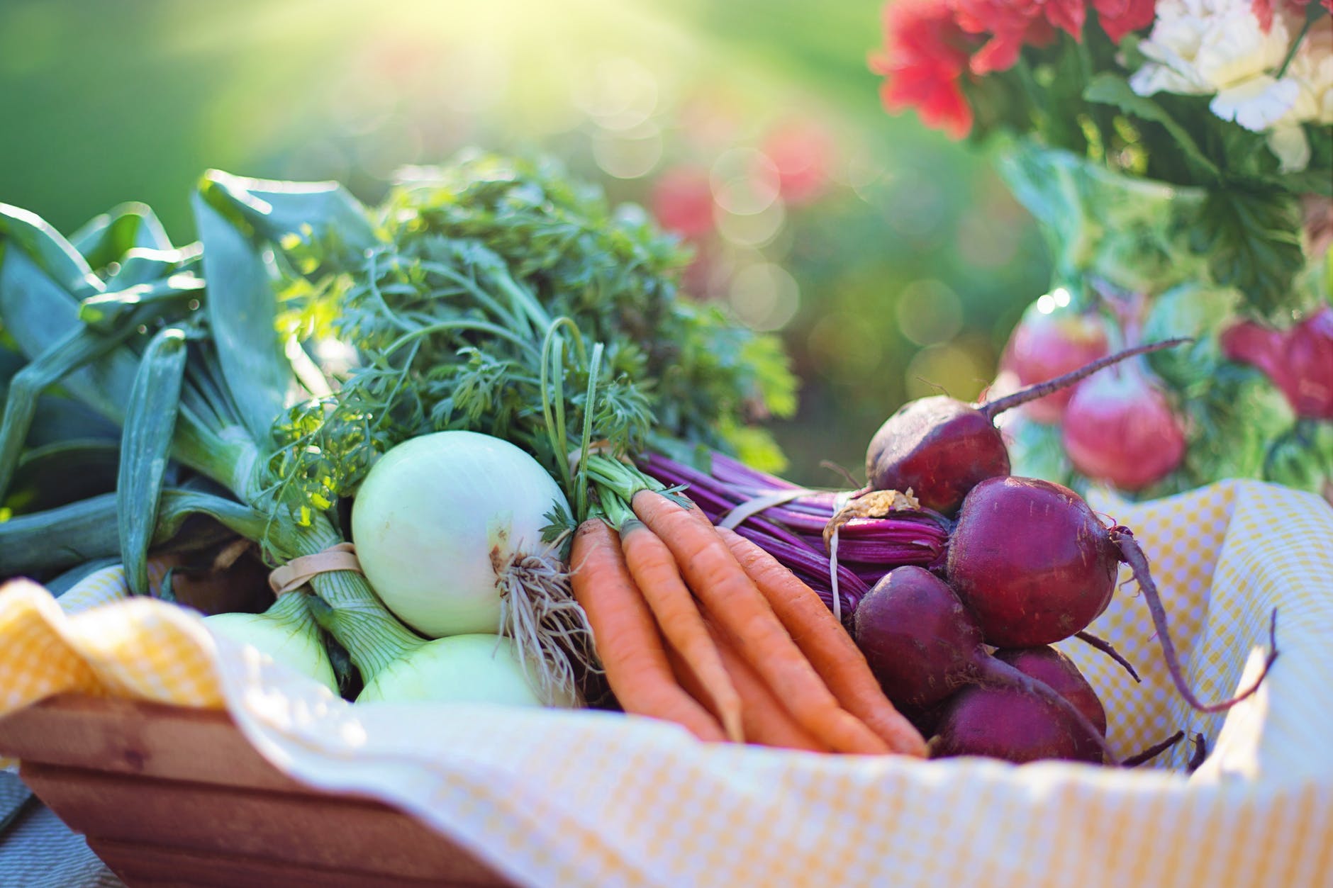 Własny ogródek warzywny – dlaczego warto?